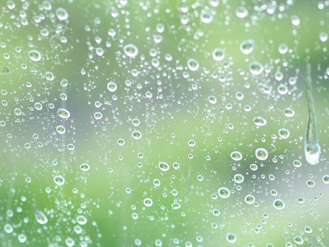 雨の日　掃除